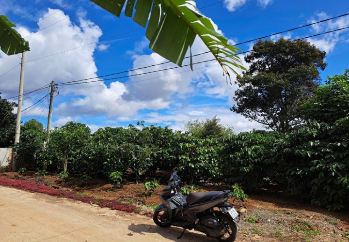 HOT ĐẤT VỊ TRÍ ĐẸP- ĐẦU TƯ LÀ SINH LỜI- CHÍNH CHỦ CẦN BÁN NHANH LÔ ĐẤT tại huyện Đức Trọng, tỉnh Lâm Đồng