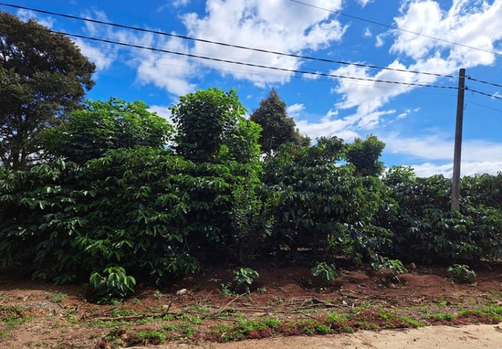 HOT ĐẤT VỊ TRÍ ĐẸP- ĐẦU TƯ LÀ SINH LỜI- CHÍNH CHỦ CẦN BÁN NHANH LÔ ĐẤT tại huyện Đức Trọng, tỉnh Lâm Đồng