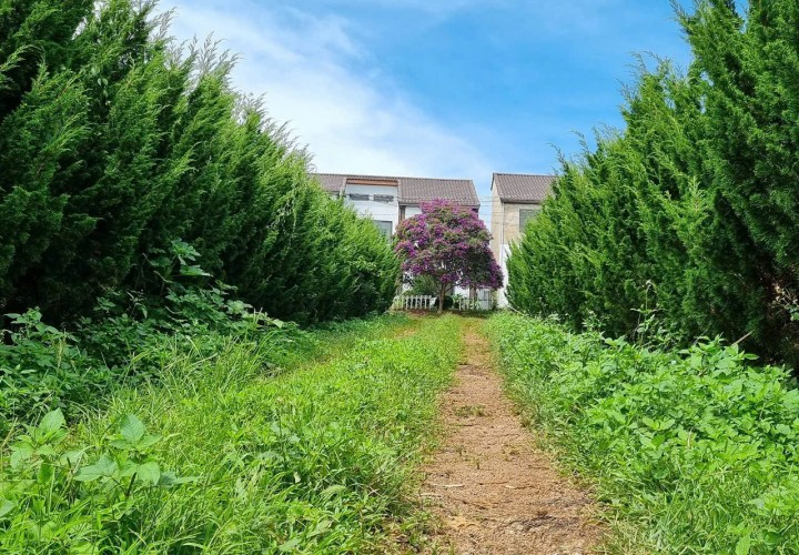 ĐẤT ĐẸP – GIÁ TỐT - CHÍNH CHỦ CẦN BÁN LÔ ĐẤT VỊ TRÍ ĐẸP TẠI Xã Phúc Thọ, Lâm Hà, Lâm Đồng