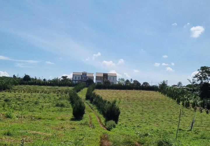 ĐẤT ĐẸP – GIÁ TỐT - CHÍNH CHỦ CẦN BÁN LÔ ĐẤT VỊ TRÍ ĐẸP TẠI Xã Phúc Thọ, Lâm Hà, Lâm Đồng