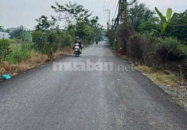 HOT HOT HOT - CẦN BÁN LÔ ĐẤT TẠI Đường 4B, Xã Đa Phước, Huyện Bình Chánh, TP.HCM