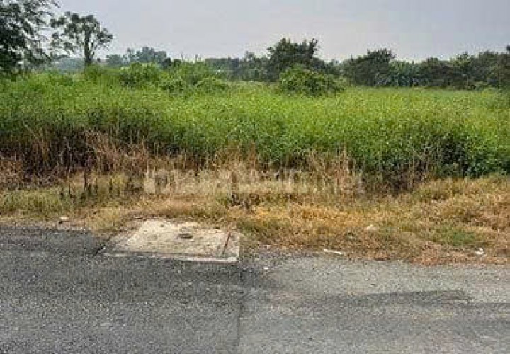 HOT HOT HOT - CẦN BÁN LÔ ĐẤT TẠI Đường 4B, Xã Đa Phước, Huyện Bình Chánh, TP.HCM