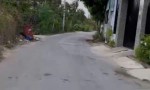 SỞ HỮU NGAY  -LÔ ĐẤT  VỊ TRÍ ĐẸP  TẠI đường Bùi Văn Sự, xã Qui Đức, Bình Chánh, Hồ Chí Minh