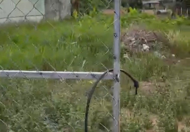 SỞ HỮU NGAY  -LÔ ĐẤT  VỊ TRÍ ĐẸP  TẠI đường Bùi Văn Sự, xã Qui Đức, Bình Chánh, Hồ Chí Minh