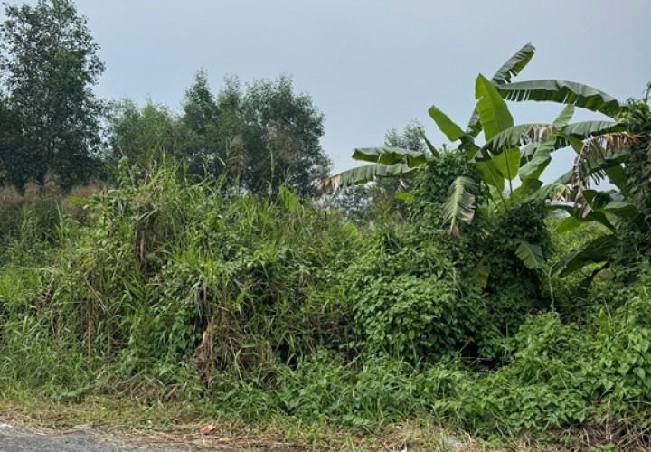 HOT HOT - CẦN BÁN 2 MẢNH  ĐẤT VƯỜN 2 MẶT TIỀN TẠI Đường liên ấp 4-5, xã Đa Phước, Bình Chánh, TpHCM