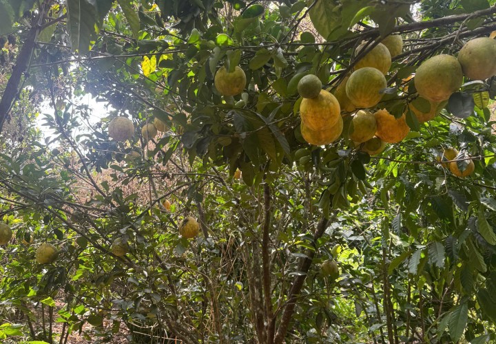 HOT ĐẤT ĐẸP- GIÁ TỐT CHÍNH CHỦ CẦN BÁN NHANH LÔ ĐẤT TIỀM NĂNG ĐẦU TƯ SINH LỜI huyện Lâm Hà, Lâm Đồng