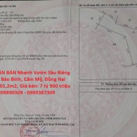 CHÍNH CHỦ CẦN BÁN Nhanh Vườn Sầu Riêng 12,201.2m2 Bảo Bình, Cẩm Mỹ, Đồng Nai