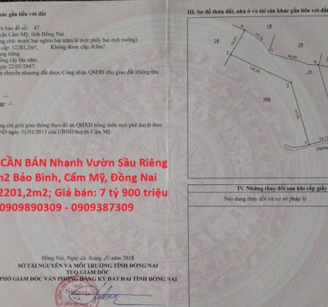 CHÍNH CHỦ CẦN BÁN Nhanh Vườn Sầu Riêng 12,201.2m2 Bảo Bình, Cẩm Mỹ, Đồng Nai