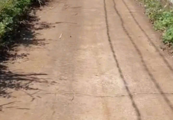 CHÍNH CHỦ CẦN BÁN Nhanh Vườn Sầu Riêng 12,201.2m2 Bảo Bình, Cẩm Mỹ, Đồng Nai