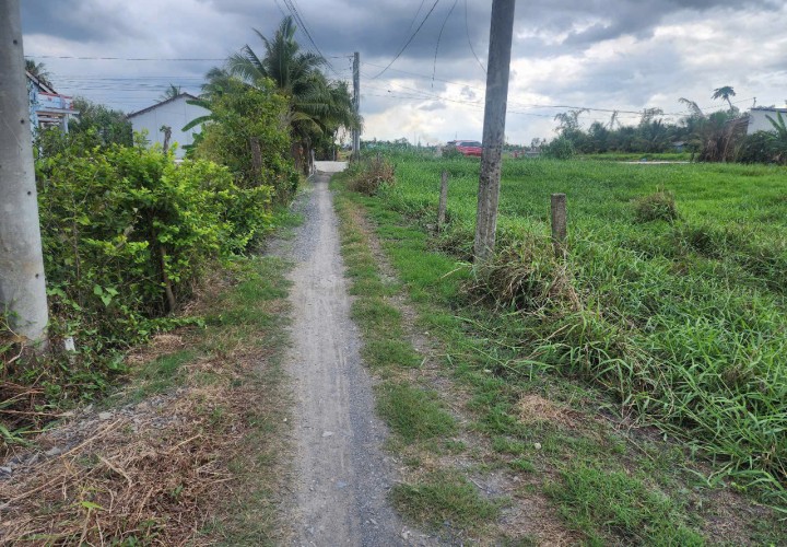 ĐẤT CHÍNH CHỦ - GIÁ TỐT Tại Ấp Bình Đông, Xã Bình Trinh Đông - Tân Trụ, Long An