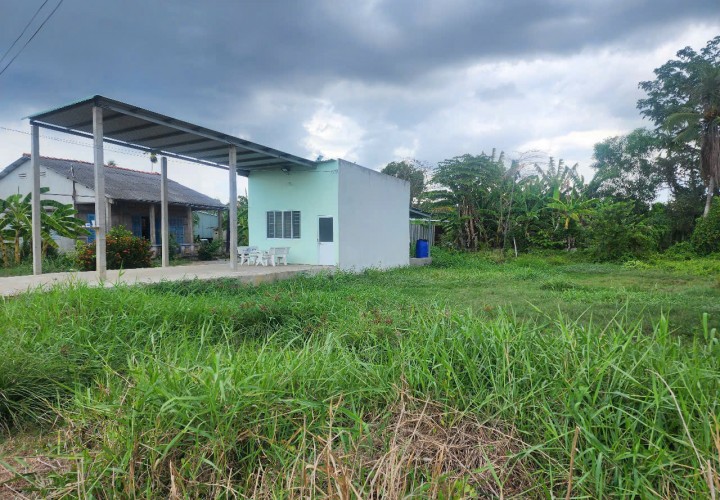 ĐẤT CHÍNH CHỦ - GIÁ TỐT Tại Ấp Bình Đông, Xã Bình Trinh Đông - Tân Trụ, Long An