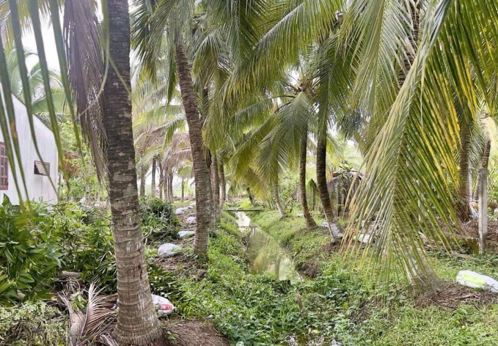 HÓT HÓT - ĐẦU TƯ SINH LỜI - Chính Chủ Bán Nhanh Lô Đất Xã Bình Thạnh, Thủ Thừa, Long An