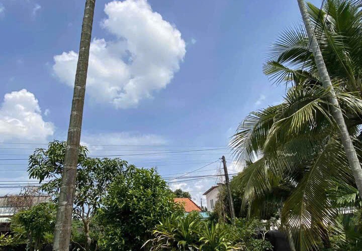 HÓT HÓT - ĐẦU TƯ SINH LỜI - Chính Chủ Bán Nhanh Lô Đất Xã Bình Thạnh, Thủ Thừa, Long An