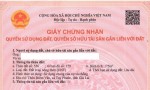 HÀNG HIẾM CHÍNH CHỦ BÁN Lô Đất Biệt Thự Khu Sinh Thái Diêm Vân Xã Phước Thuận, Tuy Phước, tỉnh Bình Định