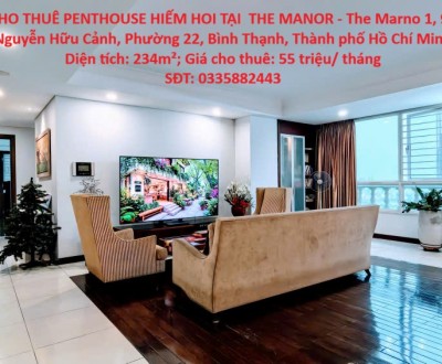 CHÍNH CHỦ CẦN CHO THUÊ GẤP PENTHHOUSE tại Phường 22, Bình Thạnh, HCM
