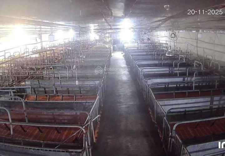 ĐẤT  ĐẸP- GIÁ TỐT- CẦN BÁN NHANH ĐẤT tại Xã Phúc Thọ, Lâm Hà, Lâm Đồng CẦN BÁN GẤP VƯỜN CÀ PHÊ - TRẠI HEO - TRẠI GÀ 9HA