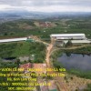 ĐẤT  ĐẸP- GIÁ TỐT- CẦN BÁN NHANH ĐẤT tại Xã Phúc Thọ, Lâm Hà, Lâm Đồng CẦN BÁN GẤP VƯỜN CÀ PHÊ - TRẠI HEO - TRẠI GÀ 9HA