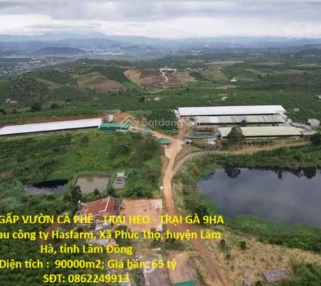 ĐẤT ĐẸP- GIÁ TỐT- CẦN BÁN NHANH ĐẤT tại Xã Phúc Thọ, Lâm Hà, Lâm Đồng CẦN BÁN GẤP VƯỜN CÀ PHÊ - TRẠI HEO - TRẠI GÀ 9HA