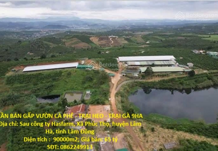 ĐẤT  ĐẸP- GIÁ TỐT- CẦN BÁN NHANH ĐẤT tại Xã Phúc Thọ, Lâm Hà, Lâm Đồng CẦN BÁN GẤP VƯỜN CÀ PHÊ - TRẠI HEO - TRẠI GÀ 9HA