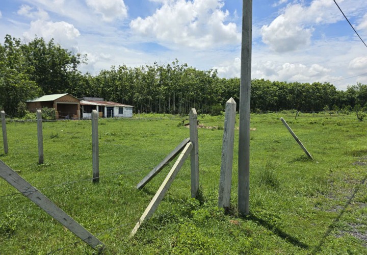 VỊ TRÍ ĐẸP - GIÁ TỐT - CẦN BÁN LÔ ĐẤT CLN TẠI Tổ 19, Ấp Cây Sộp, Tân An Hội, Huyện Củ Chi, HCM