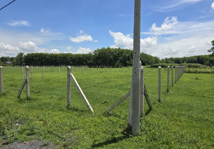 VỊ TRÍ ĐẸP - GIÁ TỐT - CẦN BÁN LÔ ĐẤT CLN TẠI Tổ 19, Ấp Cây Sộp, Tân An Hội, Huyện Củ Chi, HCM