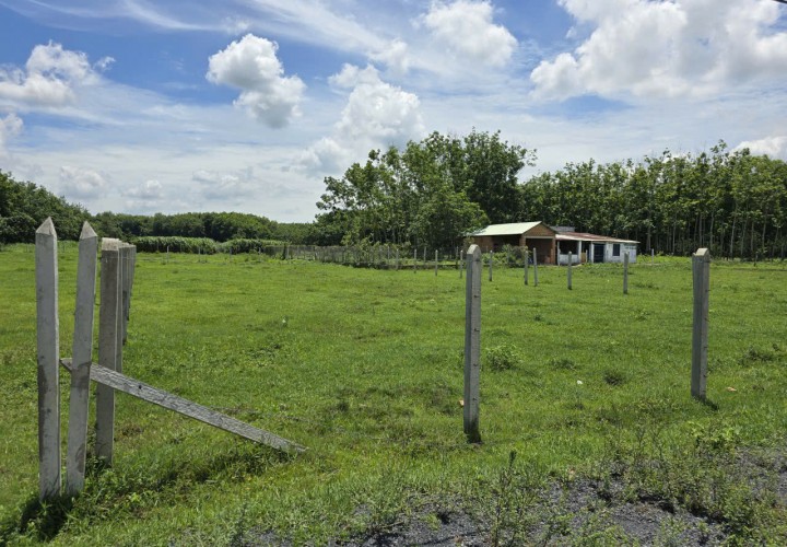 VỊ TRÍ ĐẸP - GIÁ TỐT - CẦN BÁN LÔ ĐẤT CLN TẠI Tổ 19, Ấp Cây Sộp, Tân An Hội, Huyện Củ Chi, HCM