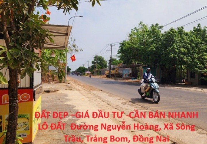 ĐẤT ĐẸP –GIÁ ĐẦU TƯ -CẦN BÁN NHANH LÔ ĐẤT  Đường Nguyễn Hoàng, Xã Sông Trầu, Trảng Bom, Đồng Nai