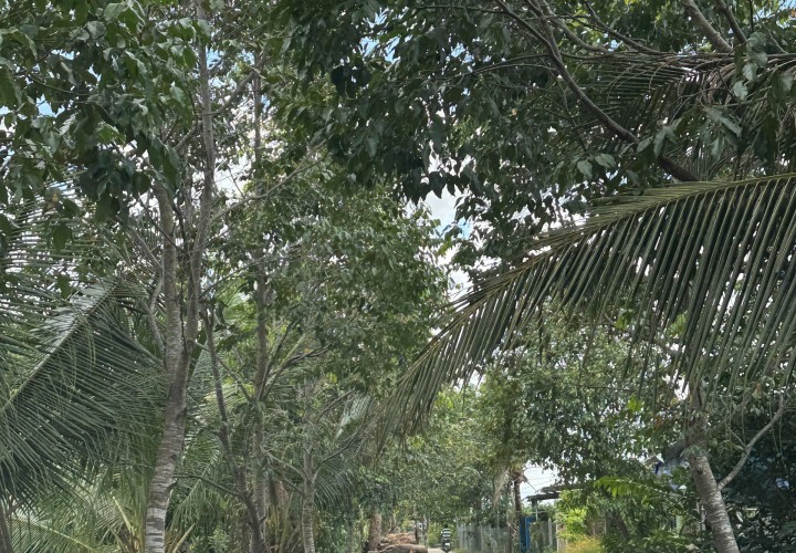 ĐẤT ĐẸP –GIÁ ĐẦU TƯ  - CẦN BÁN LÔ ĐẤT  TẠI Ấp 10, Xã Lương Hòa, Huyện Bến Lức, Long An