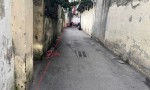 CHÍNH CHỦ CẦN Cho Thuê Đất Tại Ngõ 61 Lê Văn Lương, Phường Trung Hòa, Quận Cầu Giấy, Hà Nội