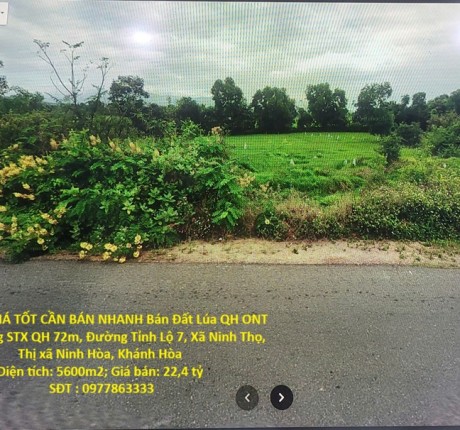 ĐẤT ĐẸP- GIÁ TỐT CẦN BÁN NHANH Bán Đất Lúa QH ONT mặt tiền đường STX QH72m Khánh Hòa