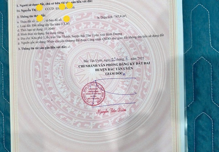 ĐẤT ĐẸP – GIÁ TỐT  – CHÍNH CHỦ CẦN BÁN Tại Đường Tân Thành 11, Đường Tân Thành 11, Thị trấn Tân Thành