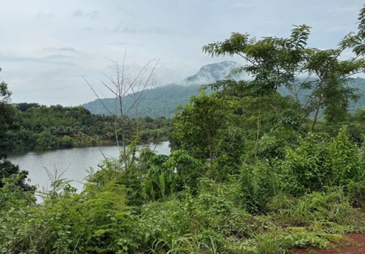 CẦN BÁN ĐẤT VIEW HỒ – VIEW NÚI - VIEW SĂN MÂY SIÊU ĐẸP Tại PHƯỚC BÌNH – ĐỒNG NAI