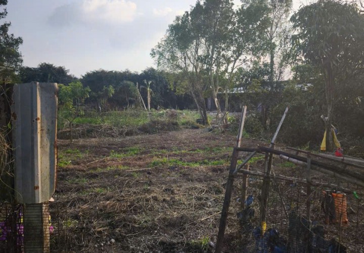 ĐẤT ĐẸP – GIÁ TỐT  – CHÍNH CHỦ CẦN BÁN TẠi Rạch Chuối, Khu Vực Mỹ Phụng, phường An Bình, TP CẦN THƠ