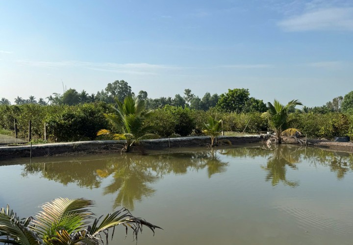 ĐẦU TƯ SINH LỜI - Chính Chủ Cần Bán Nhà Đất Tại Ấp 3, xã Tân Thành , huyện Thủ Thừa , tỉnh Long An