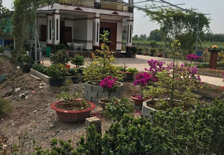 ĐẦU TƯ SINH LỜI - Chính Chủ Cần Bán Nhà Đất Tại Ấp 3, xã Tân Thành , huyện Thủ Thừa , tỉnh Long An