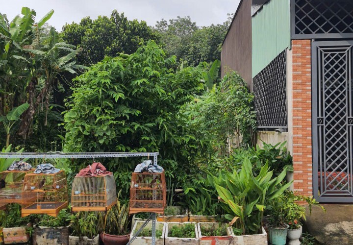 ĐẤT ĐẸP - GIÁ TỐT -  CẦN BÁN GẤP 3 LÔ ĐẤT Thổ  Cư 100% TẠI BÌNH MỸ, CỦ CHI, TP HỒ CHÍ MINH