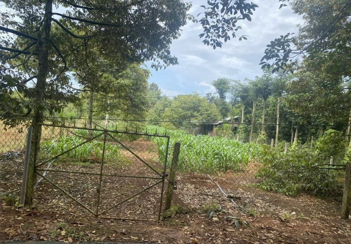 ĐẤT CHÍNH CHỦ - GIÁ TỐT Địa Chỉ Xã Xà Bang, Huyện Châu Đức, Tỉnh Bà Rịa Vũng Tàu