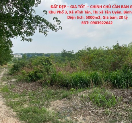 ĐẤT ĐẸP – GIÁ TỐT – CHÍNH CHỦ CẦN BÁN GẤP tại Xã Vĩnh Tân, Thị xã Tân Uyên, Bình Dương