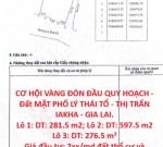 CƠ HỘI VÀNG ĐÓN ĐẦU QUY HOẠCH - Đất MẶT PHỐ LÝ THÁI TỔ - THỊ TRẤN IAKHA - GIA LAI.