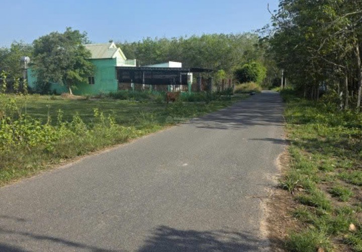 ĐẤT ĐẸP– GIÁ TỐT–CHÍNH CHỦ CẦN BÁN ĐẤT 3 MẶT TIỀN Đường Đào Thị Thơm, Xã An Nhơn Tây, Củ Chi, TP.HCM