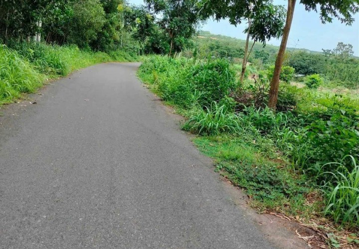 ĐẤT ĐẸP - ĐẦU TƯ SINH LỜI - Bán GẤP Lô Đất Tiềm Năng Tại Suối Rao, Châu Đức, Bà Rịa Vũng Tàu