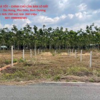 ĐẤT ĐẸP – GIÁ TỐT – CHÍNH CHỦ CẦN BÁN LÔ ĐẤT tại Tân Lập – Tân Hưng, Phú Giáo, Bình Dương