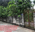 ĐẤT ĐẸP- GIÁ TỐT chính chủ cần bán đất tại thôn Thông Nhất, xã Song Phượng, huyện Đan Phượng, HN