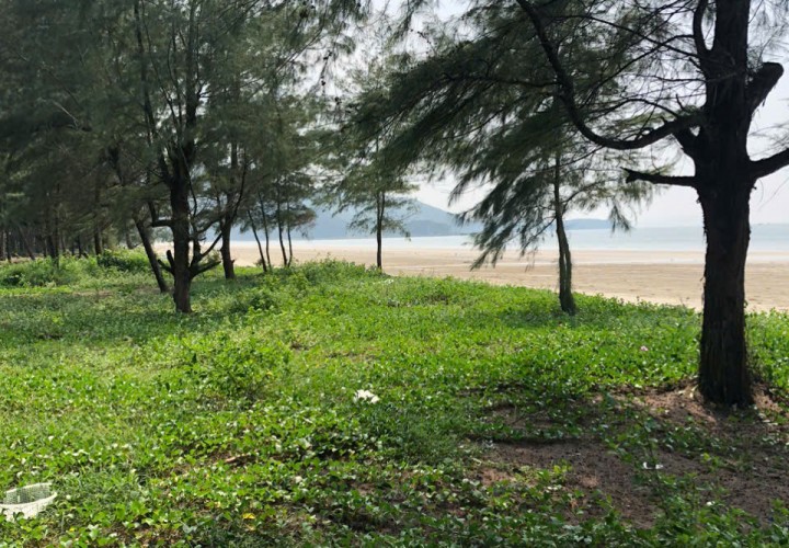 ĐẤT ĐẸP – GIÁ TỐT CHÍNH CHỦ BÁN GẤP Tại Xã Ngọc Vừng, Huyện Vân Đồn, Quảng Ninh