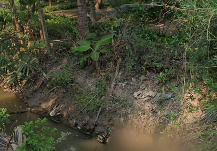 ĐẦU TƯ SINH LỜI - Chính Chủ BÁN Bán Đất Vườn-Xã Long Định, Châu Thành, Tiền Giang