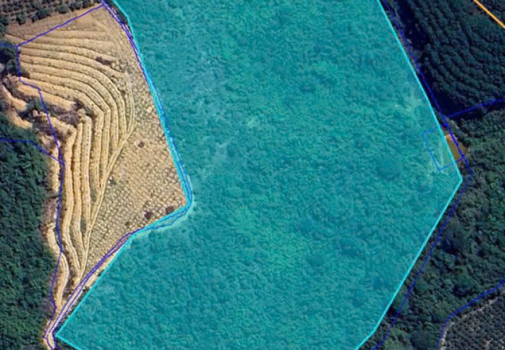 BÁN Bán Đất Vườn Đất thuộc phường Đông Gia Nghĩa cách trung tâm T.P Gia Nghĩa 7km