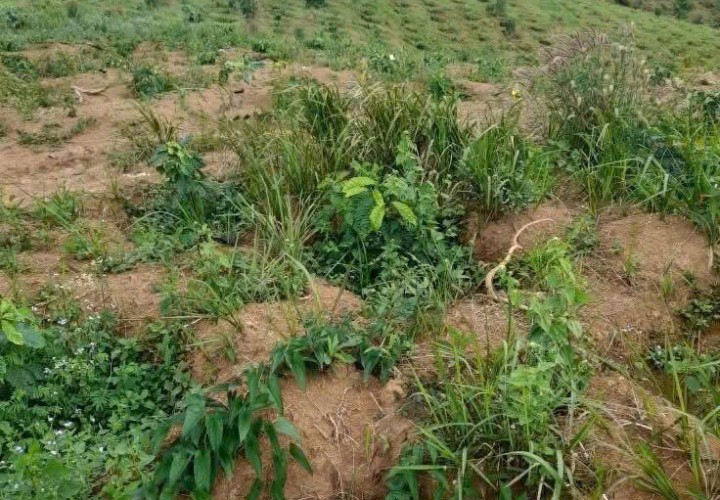 BÁN Bán Đất Vườn Đất thuộc phường Đông Gia Nghĩa cách trung tâm T.P Gia Nghĩa 7km