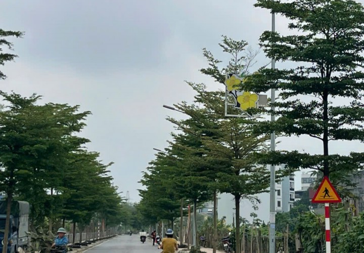 ĐẤT ĐẸP - GIÁ TỐT - Cần Bán Nhanh Lô Đất Vị Trí Đắc Địa Đường Ngọc Hồi, Yên Ngưu, Đại Thanh, Hà Nội