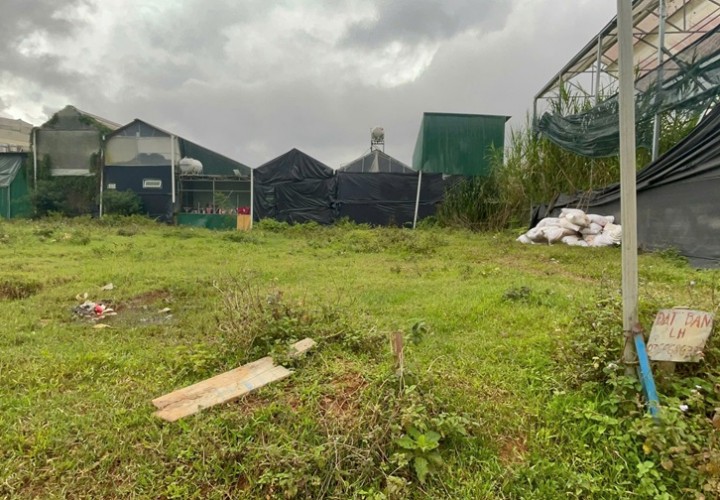 CHÍNH CHỦ BÁN LÔ ĐẤT Vị Trí Đắc Địa PHƯỜNG 7, Đà Lạt, Lâm Đồng