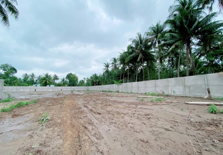 ĐẤT ĐẸP – GIÁ TỐT  – CHÍNH CHỦ CẦN BÁN GẤP Tại  Xã Thanh Tân, Huyện Mỏ Cày Bắc(nay Là Phường Bến Tre), Tp Bến Tre